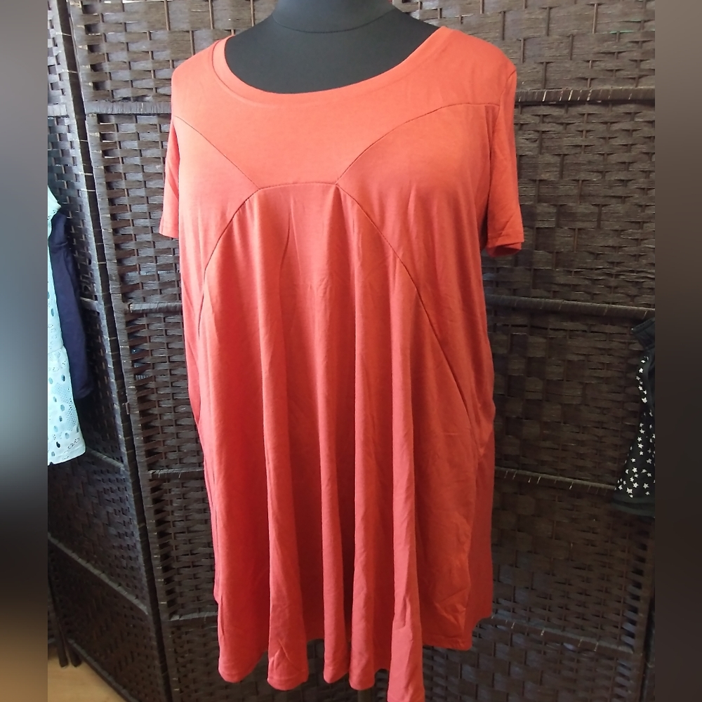 Sz 16 NWT MEASOR Pumpkin Spice Oversized Swing Dress - Picture 6 of 12